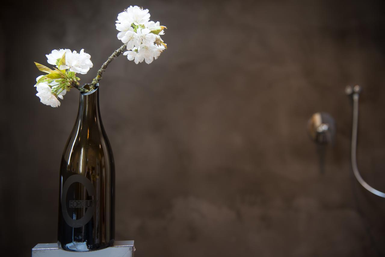 Weingut Georgium Bed & Breakfast Sankt Georgen am Langsee Bagian luar foto