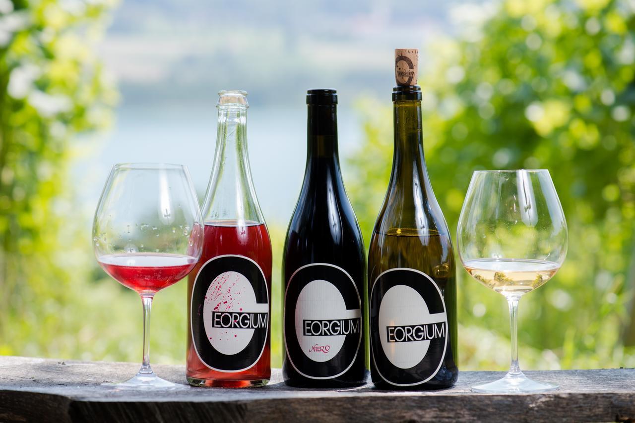 Weingut Georgium Bed & Breakfast Sankt Georgen am Langsee Bagian luar foto