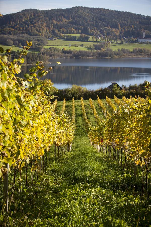Weingut Georgium Bed & Breakfast Sankt Georgen am Langsee Bagian luar foto
